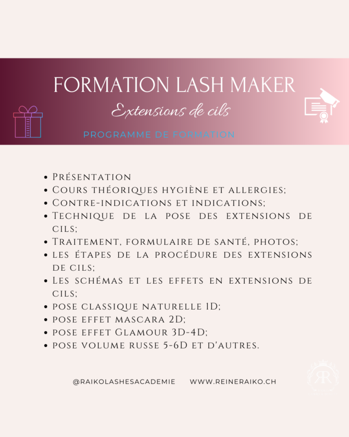 La Formation en Extensions de Cils Technique cil à cil 1D et Volume 2-6D – Image 6