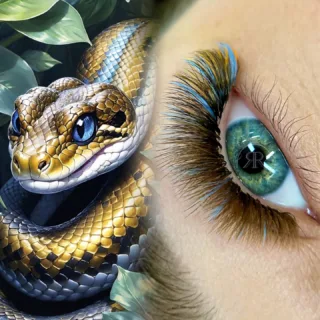 ✨ Ready for 2025, l’Année du Serpent ! ✨

Cette année représente transformation, élégance et stratégie. Le Serpent incarne la sagesse et la créativité, des qualités essentielles pour briller dans le domaine de la beauté.

Chez Raiko Beauty, nous célébrons cette énergie unique avec cette image captivante, mêlant la finesse du regard et l’audace des couleurs, symbole de renouveau et de modernité.

💡 Conseils pour le business de la beauté en 2025 :
	1.	Innover avec des formations de pointe- Raiko Beauty vient avec le lancement de la formation Pro Lash Color Effect en février 2025 !
 Misez sur les couleurs pour attirer une clientèle moderne et audacieuse.
	2.	Évoluer avec intention : Le Serpent nous enseigne de prendre le temps pour une stratégie réfléchie. Investissez dans votre branding pour refléter l’élégance et la créativité.
	3.	Créer une image magnétique : Les visuels puissants, comme celui-ci, captivent l’attention et différencient votre marque.
	4.	Restez connectés aux tendances : Intégrez des concepts qui marient tradition et innovation pour séduire un large public.

🌟 Stay tuned pour les nouveautés à venir ! 2025 est l’année idéale pour révéler votre potentiel et sublimer votre art.

#cilslausanne #colorlash #swisslashes #formationextensiondecils #formationextensionfecilssuisse #AnnéeDuSerpent2025 #RaikoBeauty #LashColorEffect #FormationPro #BeautéInnovante #BusinessDeLaBeauté #ÉléganceEtCréativité #RegardMagnétique